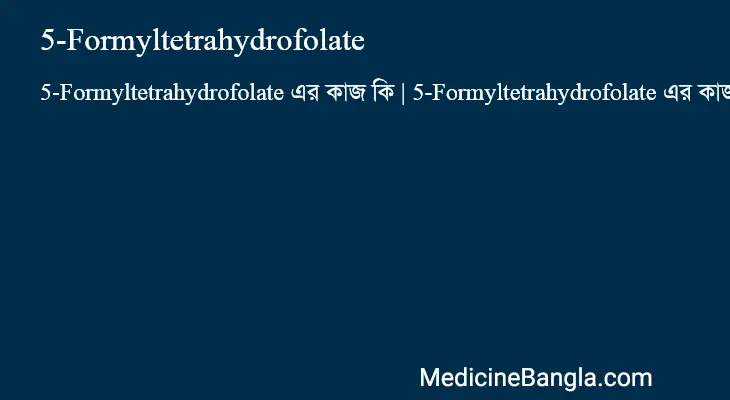 5-Formyltetrahydrofolate in Bangla