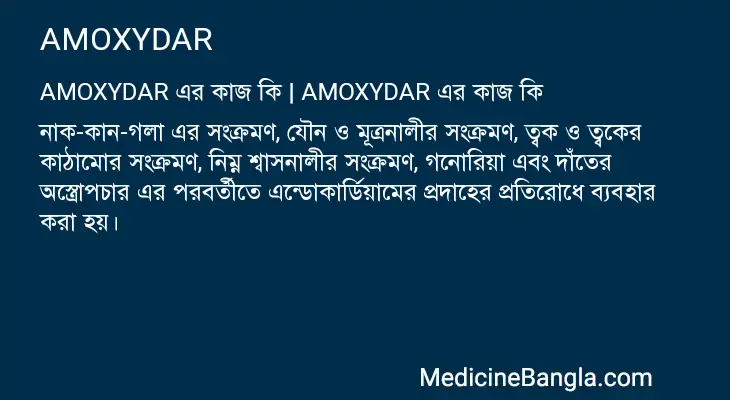 AMOXYDAR in Bangla