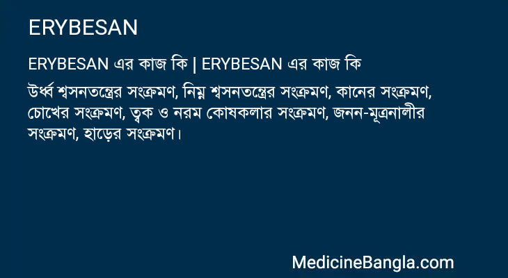 ERYBESAN in Bangla