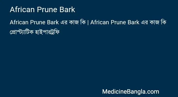 African Prune Bark in Bangla