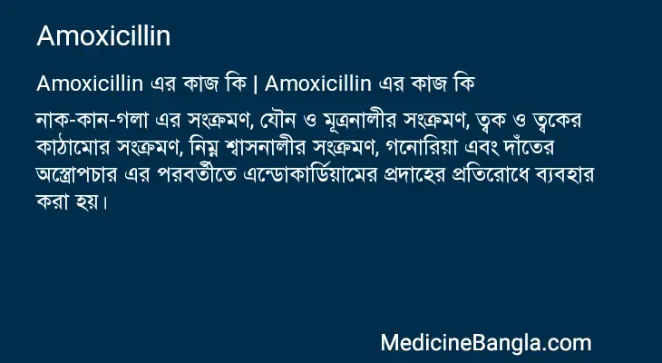 Amoxicillin in Bangla