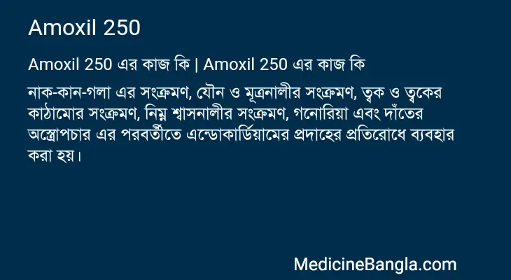 Amoxil 250 in Bangla