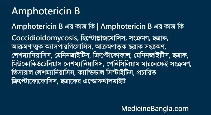 Amphotericin B in Bangla