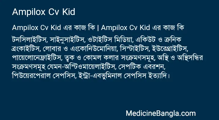 Ampilox Cv Kid in Bangla