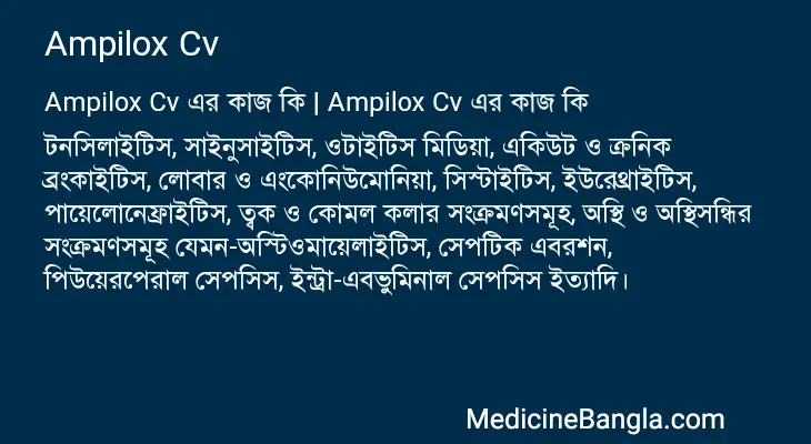 Ampilox Cv in Bangla