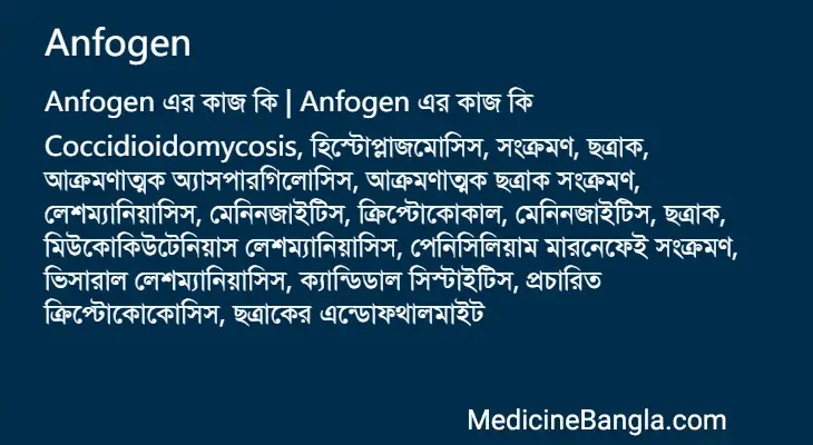 Anfogen in Bangla