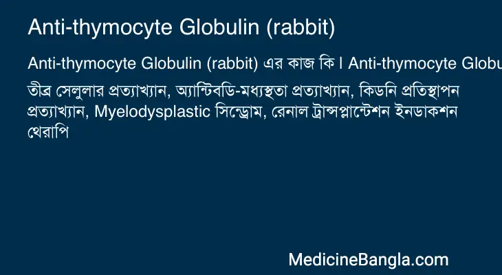 Anti-thymocyte Globulin (rabbit) in Bangla