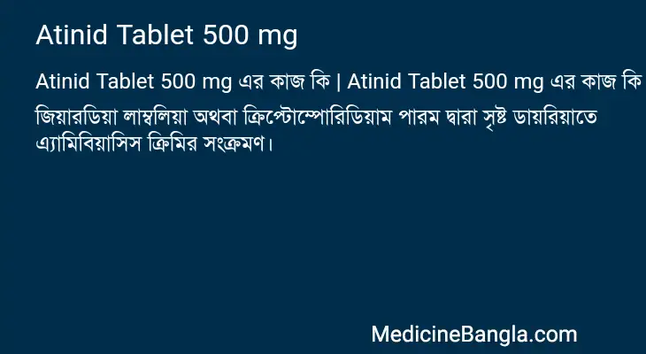 Atinid Tablet 500 mg in Bangla