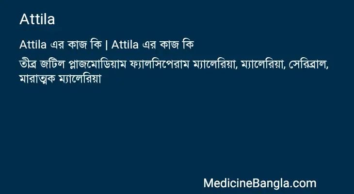 Attila in Bangla