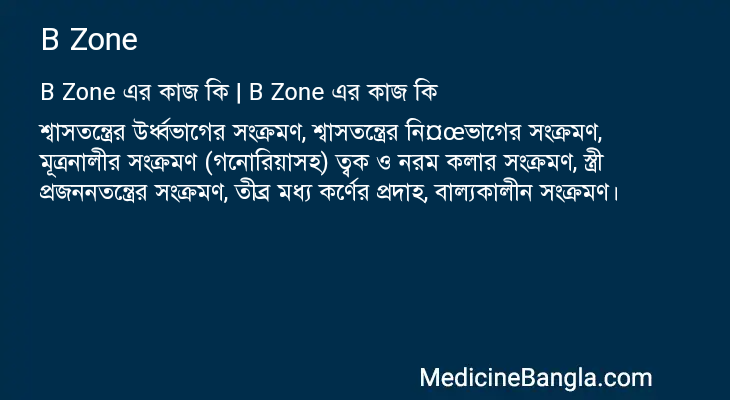 B Zone in Bangla