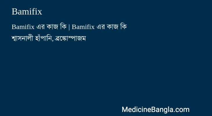 Bamifix in Bangla