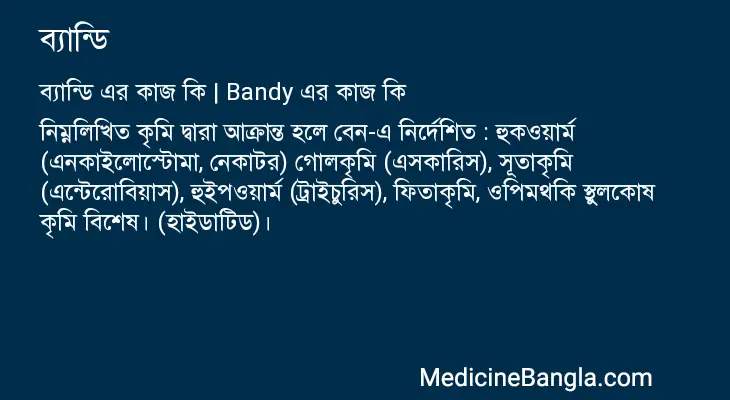 ব্যান্ডি in Bangla