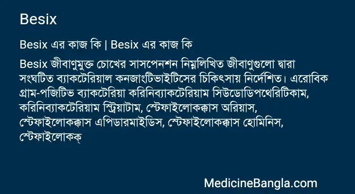 Besix in Bangla