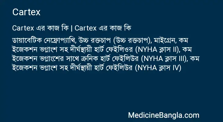 Cartex in Bangla