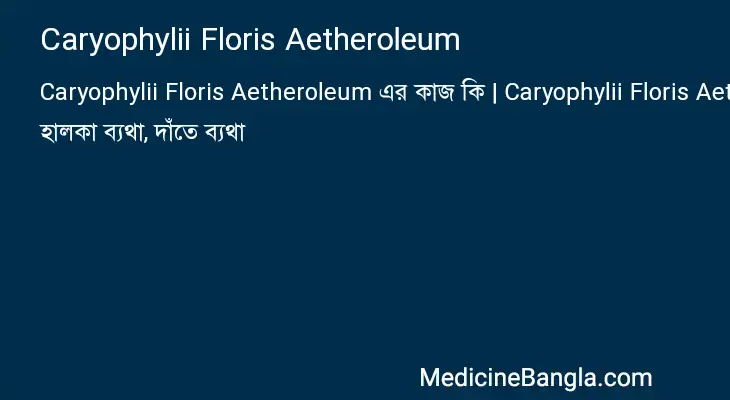 Caryophylii Floris Aetheroleum in Bangla