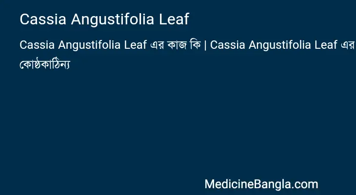 Cassia Angustifolia Leaf in Bangla