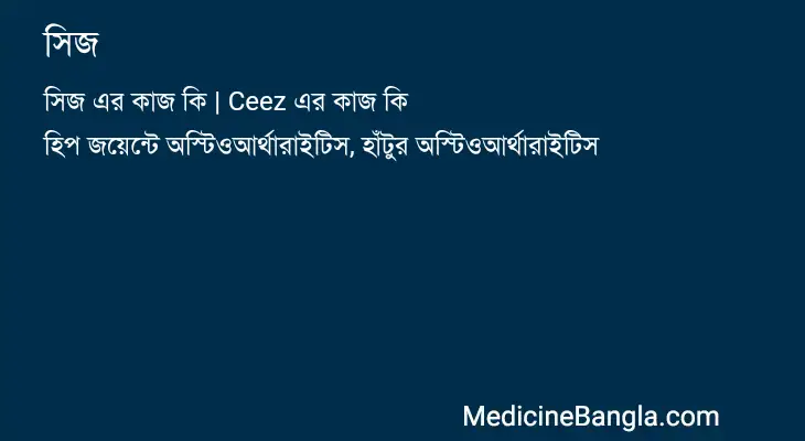 সিজ in Bangla