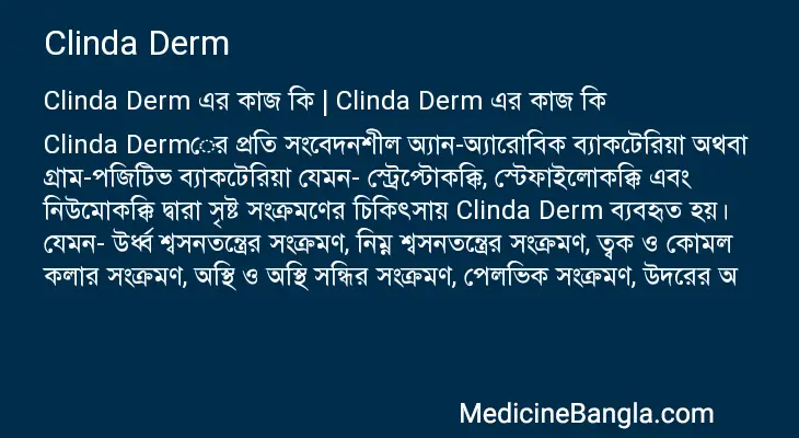 Clinda Derm in Bangla