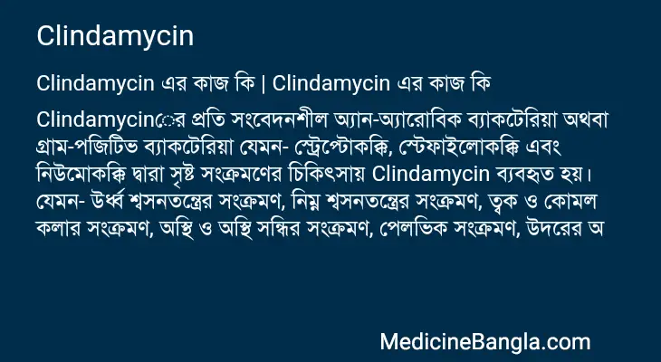 Clindamycin in Bangla