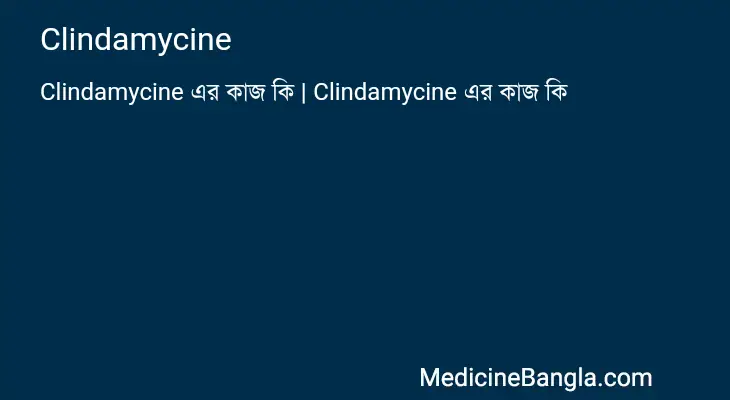 Clindamycine in Bangla