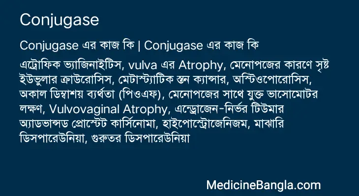 Conjugase in Bangla