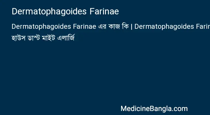 Dermatophagoides Farinae in Bangla