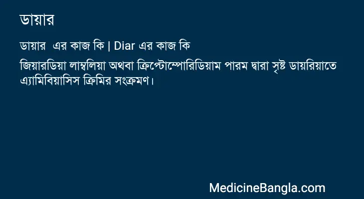 ডায়ার  in Bangla