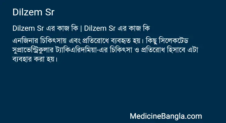 Dilzem Sr in Bangla