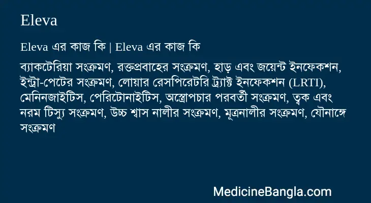 Eleva in Bangla