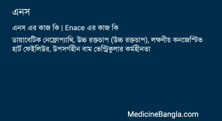 এনস in Bangla