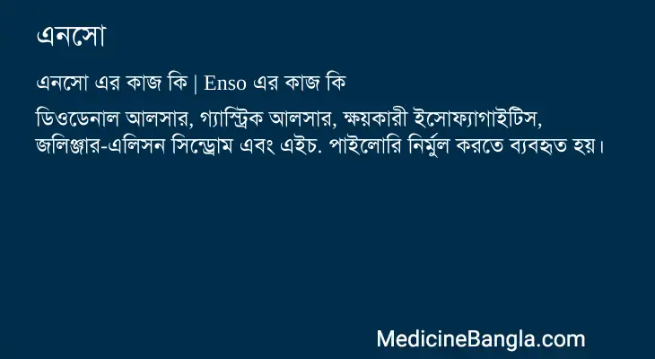 এনসো in Bangla