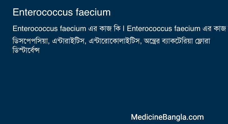 Enterococcus faecium in Bangla