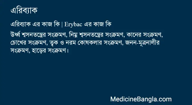 এরিব্যাক in Bangla