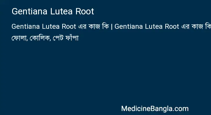 Gentiana Lutea Root in Bangla