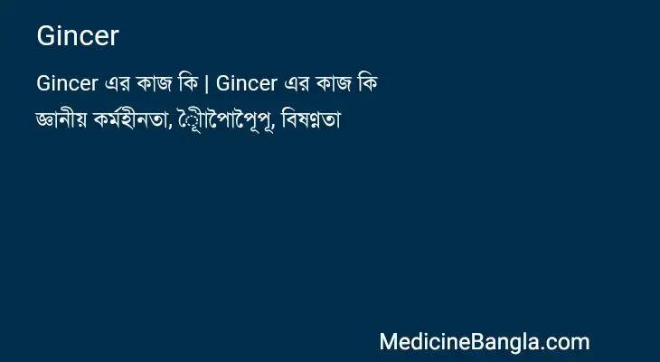 Gincer in Bangla