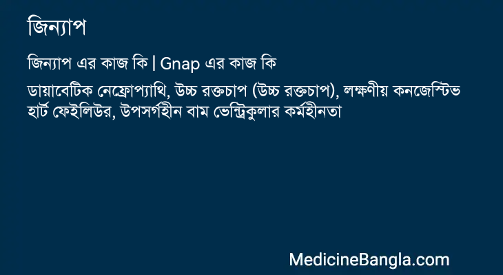 জিন্যাপ in Bangla