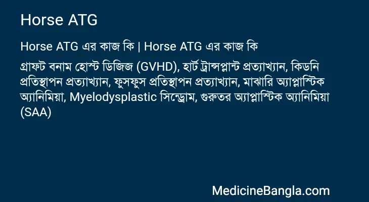 Horse ATG in Bangla