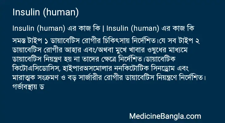 Insulin (human) in Bangla