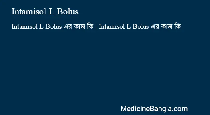 Intamisol L Bolus in Bangla