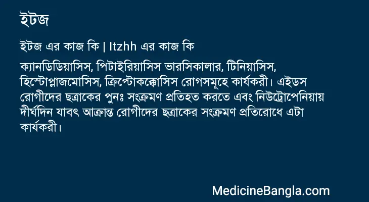 ইটজ in Bangla