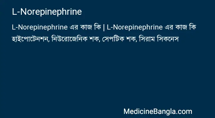 L-Norepinephrine in Bangla