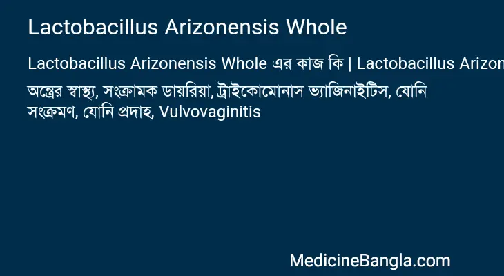 Lactobacillus Arizonensis Whole in Bangla