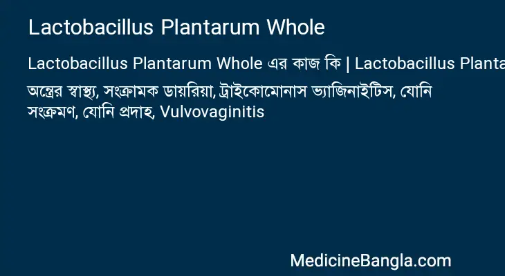 Lactobacillus Plantarum Whole in Bangla