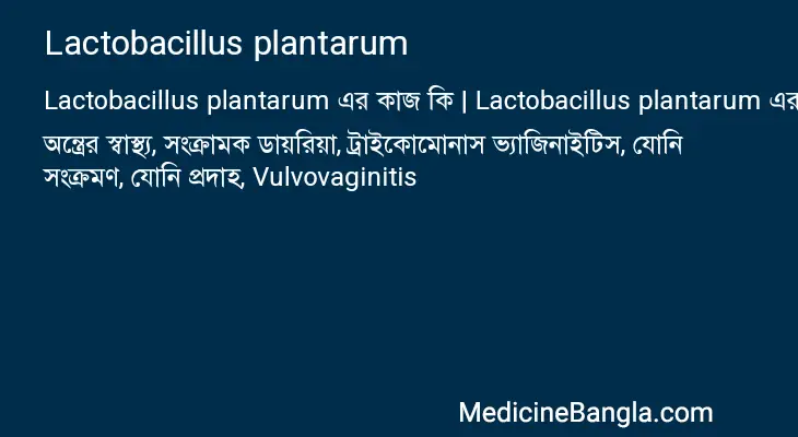 Lactobacillus plantarum in Bangla