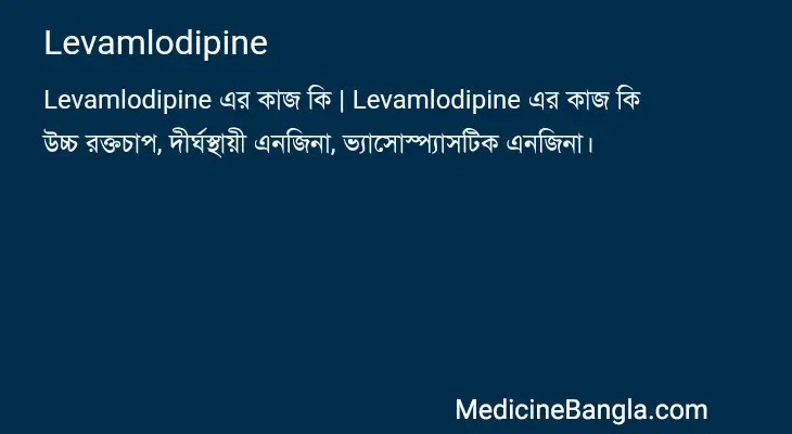 Levamlodipine in Bangla