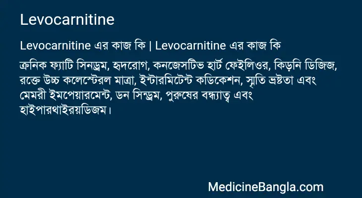 Levocarnitine in Bangla