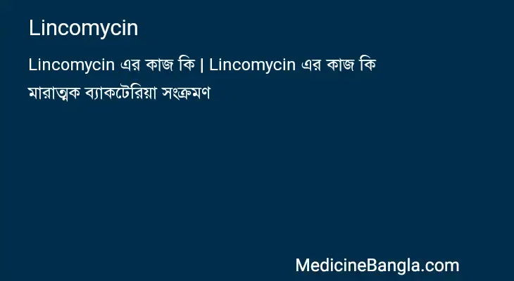 Lincomycin in Bangla