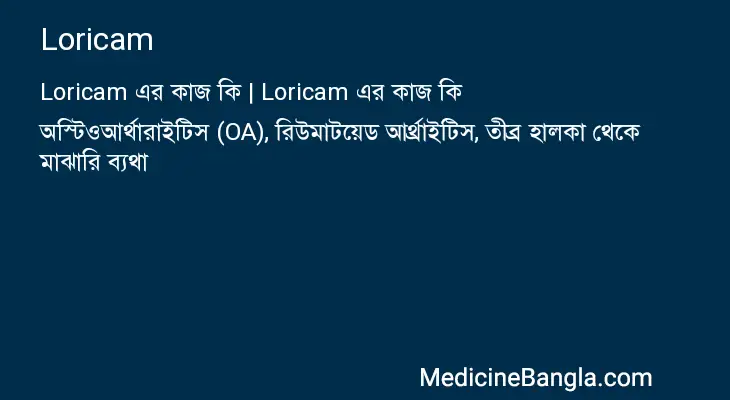 Loricam in Bangla