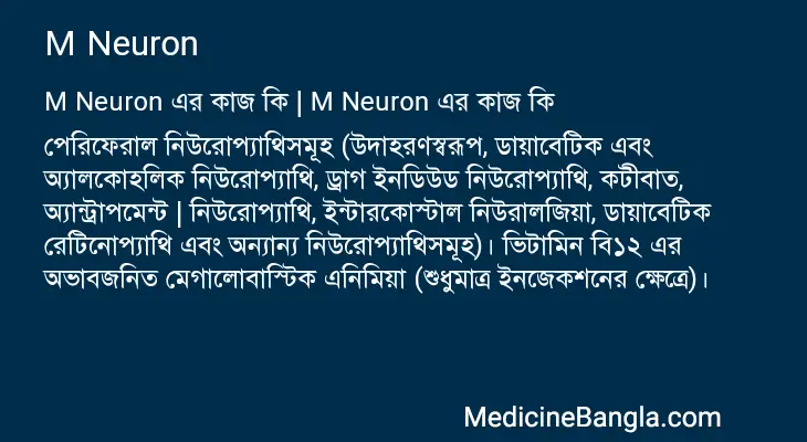 M Neuron in Bangla