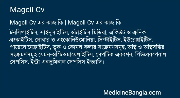 Magcil Cv in Bangla